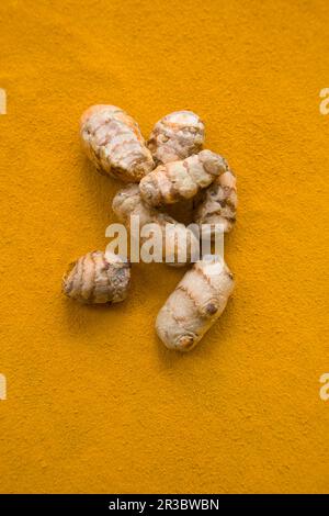 Frische Kurkuma auf Kurkumpulver Stockfoto
