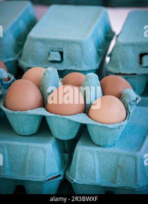 Braune Eier in blauen Eierschachteln Stockfoto