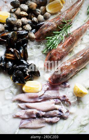 Meeresfrüchte und rote Knurren Stockfoto