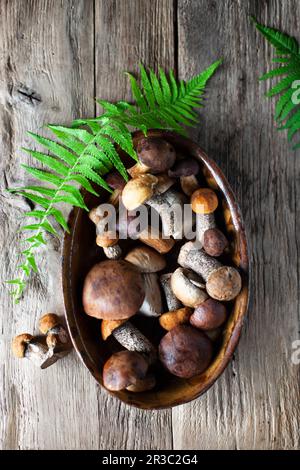 Frische Pilze in einer Holzschüssel neben Farnblättern Stockfoto