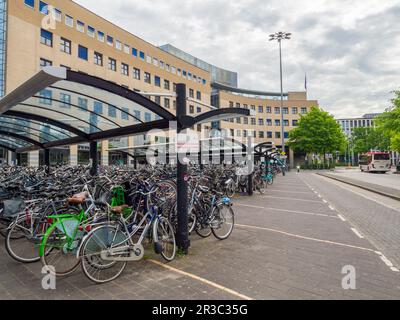 Hunderte von Fahrrädern parkten unter einem Unterschlupf vor dem Hauptbahnhof Amersfoort, Niederlande, Europa. Stockfoto