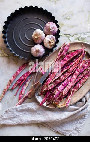 Borlottibohnen auf einer Metallplatte und Knoblauchknollen in einer Tortenform Stockfoto