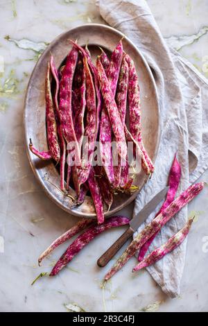 Borlotti-Bohnen auf Metallplatte Stockfoto