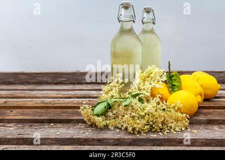 Holunderblüten-Kordial mit Zitronen Stockfoto