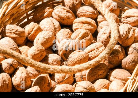 Verschließen Sie die organischen ganzen ungeöffneten Walnussschalen in einem Korb aus Korb unter der Sonne. Ungeöffneter Walnusshüllen-Hintergrund. Studioaufnahme mit ungeöffneter Walnuss. Stockfoto