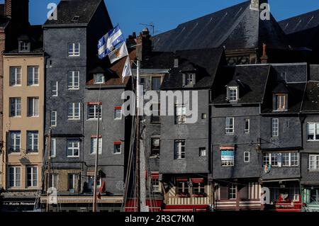 Hohe und schmale Stadthäuser mit Kacheln säumen den Quai Sainte Catherine in der Stadt Honfleur in Calvados, Normandie, Frankreich. Die Häuser aus dem 17. Und 18. Jahrhundert werden von dem Dach einer historischen Kirche, der Elglise Sainte-Catherine, dominiert, die sich dahinter erhebt. Dieses Bild wurde von der anderen Seite des Vieux Bassin (Altes Becken, Hafen oder Dock) aufgenommen, das 1668 als neuer Hafen für Honfleur begann. Stockfoto