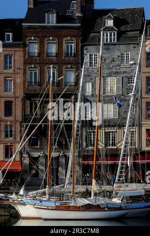 In Honfleur, Calvados, der Normandie, Frankreich, säumen hohe und schmale Häuser aus den 1600er und 1700er Jahren den Quai Sainte-Catherine und bilden die Kulisse für Yachten im Vieux Bassin (Altes Becken, Hafen oder Dock), das 1668 als neuer Hafen für Honfleur begann. Stockfoto
