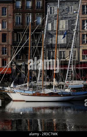 Yachten liegen im Vieux Bassin in Honfleur, Calvados, Normandie, Frankreich, vor dem Hintergrund hoher und schmaler Häuser aus den 1600er und 1700er Jahren, die den Quai Sainte-Catherine säumen. Das Vieux Bassin (Altes Becken, Hafen oder Dock) wurde 1668 als neuer Hafen für Honfleur gegründet. Stockfoto