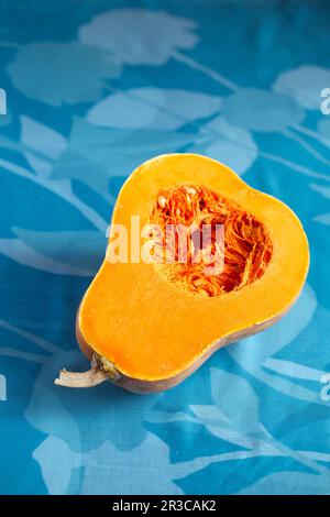 Frischer Butternusskürbis auf blauem Hintergrund. Butternusspüree. Hälften rohen Orangenkürbis. (Fortsetzung Stockfoto