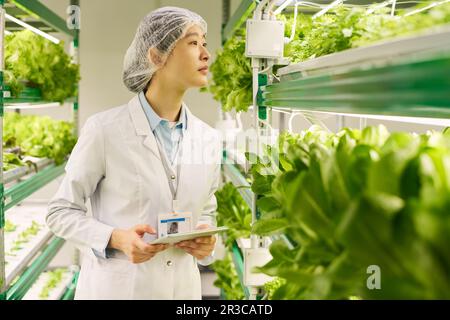 Seitenansicht einer jungen asiatischen Forscherin mit Tablet, die auf senkrechten Stäbchen wachsende grüne Setzlinge im Gewächshaus betrachtet Stockfoto