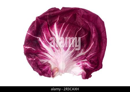 Roter Salat isoliert Stockfoto