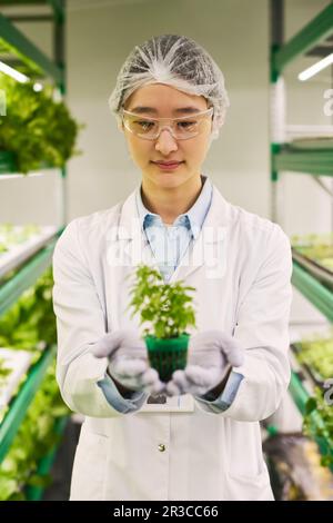 Eine junge asiatische Wissenschaftlerin in einem Laborkittel, die grünen Seedling in ihren Handschuhen ansieht, während sie zwischen vertikalen Stäben vor der Kamera steht Stockfoto