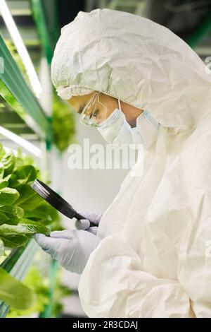 Seitenansicht einer jungen Wissenschaftlerin in Schutzkautschuhen mit Lupe beim Studium neuartiger Spinatarten im Hothouse Stockfoto