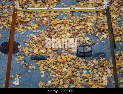 Doppelte Schaukel auf leeren mit gelben Blättern bedeckten Spielplatz in oktober Stockfoto