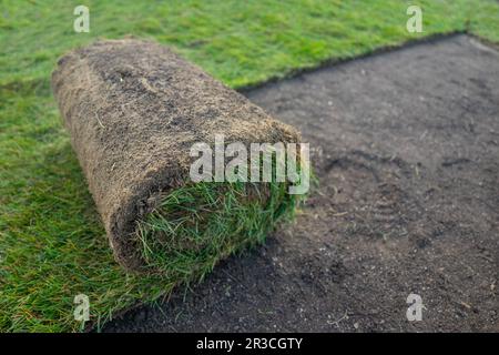 Verlegung von Kunstrasen Stockfoto