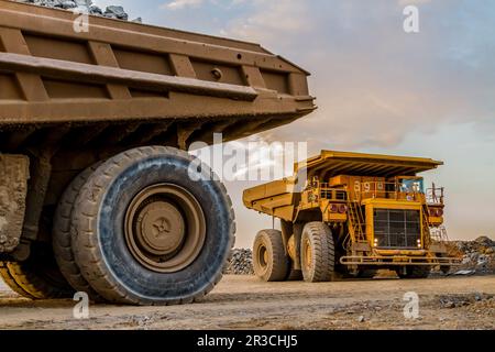 Muldenkipper für den Bergbau, die Platinerz zur Verarbeitung transportieren Stockfoto