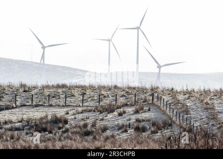 Vier Windturbinen, die durch den Nebel hindurchströmen, mit einer Streuung von leichtem Schnee, oben in den schottischen Hügeln. Stockfoto