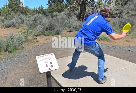 Eine Person, die Disc Golf auf dem Pine Nursery Course in Bend, Oregon, spielt. Stockfoto