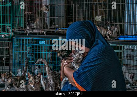 DITA Agusta und seine Katzen in Rumah Kucing Parung, ein Heim für kranke und verletzte verlassene Katzen in Bogor, West-Java, Indonesien, am 23. Mai 2023 Stockfoto