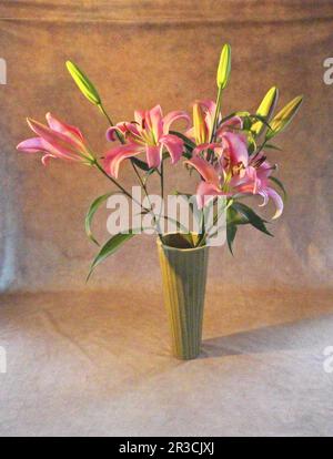 Ein wunderschöner Strauß rosa Tageslilien in einer Vase. Stockfoto