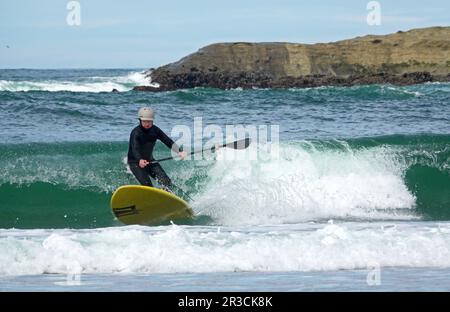 Ein Stehpaddelpaddleboarder reitet in der Nähe des Haystack Rock in Pacific City, Oregon, an der Pazifikküste von Oregon. Stockfoto