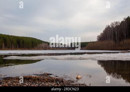 Quellbäche in der Natur. Der Schnee schmilzt in einem großen See und klare Bäche fließen. Natur gegen den blauen Himmel, Seen und Wälder. Wunderschöner natürlicher Rücken Stockfoto