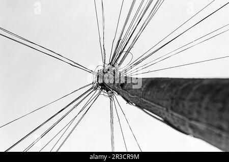 Abgeschirmte Telefonleitungen auf einem Holzmast vor einem weißen Himmel Stockfoto