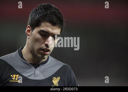 Luis Suarez wurde heute (24/04/2013) für zehn Spiele nach seinem beißenden Angriff auf Branislav Ivanovic, Liverpools Luis Suarez, verboten. Arsenal vs. L Stockfoto