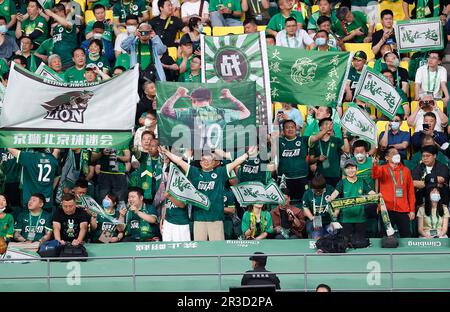 Peking, China. 23. Mai 2023. Fans des Beijing Guoan FC jubeln das Team während des 2023. Staffelspiels der Chinese Football Association Super League (CSL) 9. Runde zwischen Peking Guoan und Cangzhou Mighty Lions FC im Workers' Stadium in Peking, Hauptstadt von China, am 23. Mai 2023 an. Kredit: Wang Lili/Xinhua/Alamy Live News Stockfoto