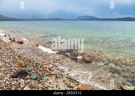 Farbenfrohe Kieselsteine am Ufer des Lake Manapuri im Fiordland National Park in Southland, South Island von Neuseeland Stockfoto