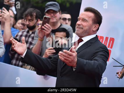 Los Angeles, USA. 22. Mai 2023. Arnold Schwarzenegger kommt zur Premiere der Netflix-Serie „FUBAR“ in Los Angeles, die am 22. Mai 2023 im Grove in Los Angeles, Kalifornien, stattfindet. © Lisa OConnor/AFF-USA.com Kredit: AFF/Alamy Live News Stockfoto