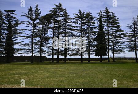 Landschaft mit malerischem Blick auf die Gärten des Castello di Lombardia in Enna Sizilien, Italien. Stockfoto