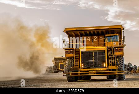 Muldenkipper für den Bergbau, die Platinerz zur Verarbeitung transportieren Stockfoto