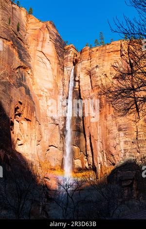 Telefon Wasserfall vom Riverside Walk Trail aus gesehen; Zion-Nationalpark; Utah; USA Stockfoto