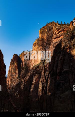 Blick vom Riverside Walk Trail; Zion-Nationalpark; Utah; USA Stockfoto