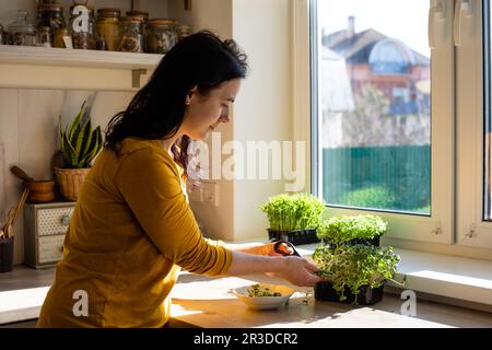 Frau schneidet Mikrogemüse in der Küche am Morgen Stockfoto