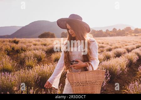 Das schöne Mädchen ruht moralisch auf einer Plantage beim Lavendel pflücken Stockfoto