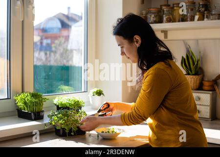 Frau schneidet Mikrogemüse in der Küche am Morgen Stockfoto