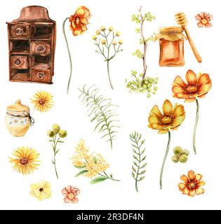 Aquarell großes Honigset, Kamille, Zweig und Blumen Stockfoto