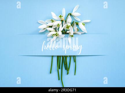 Grußkarte Text HALLO FRÜHLINGSSCHRIFT mit Schneegropfen Blumen. Frühe Frühlingsblumen. Frühling. Frisches Bouquet Stockfoto