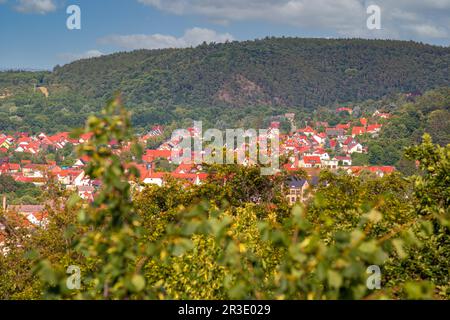 Bilder von Gernrode im Harz-Gebirge Stockfoto