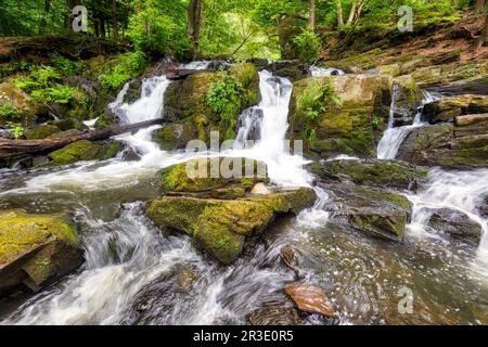 Selke-Wasserfall im Harz-Gebiet Harzgerode Selke-Tal Stockfoto