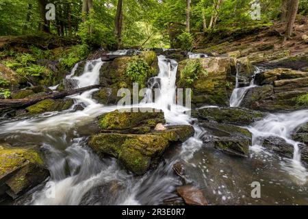 Selke-Wasserfall im Harz-Gebiet Harzgerode Selke-Tal Stockfoto