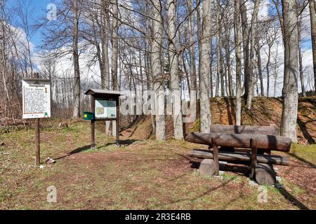 Archäologisches Denkmal Erichsburger Schlösser und Paläste im Harz-Gebirge Stockfoto