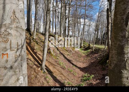 Archäologisches Denkmal Erichsburger Schlösser und Paläste im Harz-Gebirge Stockfoto