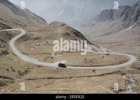 Colle dell'Agnello, oberes Varaita-Tal, Cuneo, Piedmont, Italien Stockfoto