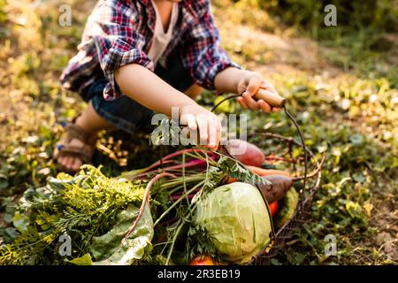 Das Kleinkind untersucht einen Korb mit Gemüse Stockfoto