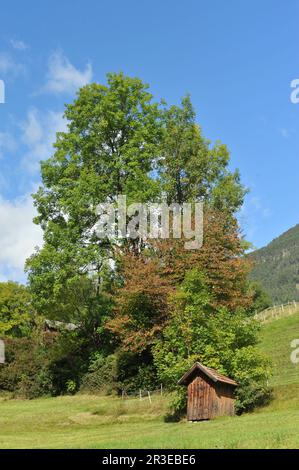 Holzhütte in den Bergen Stockfoto