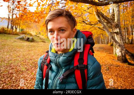 Die Wanderin, die im Wald unterwegs ist, schaut sich um Stockfoto