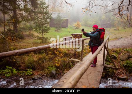 Die Frau macht ein Selfie beim Wandern im Wald Stockfoto